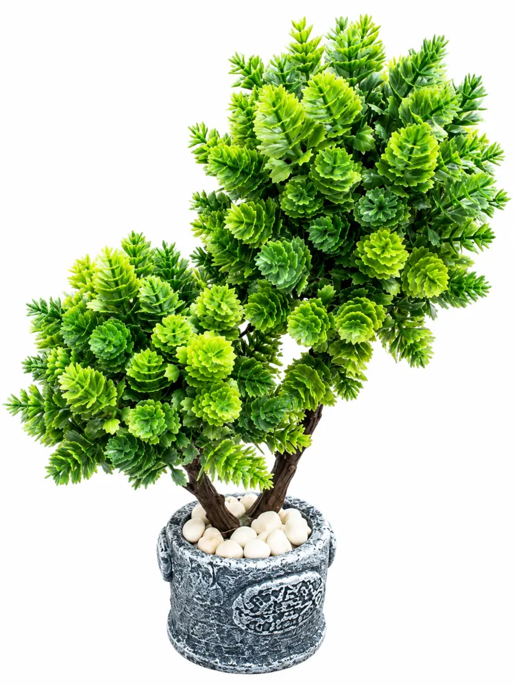 Simulation of Bonsai C14H-45 — Artificial Plants by Kasha Interior