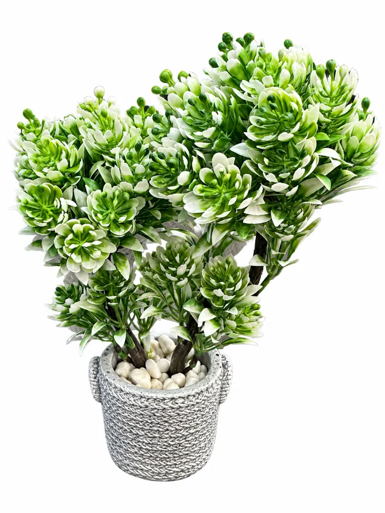 Simulation of Bonsai C14H-49 — Artificial Plants by Kasha Interior