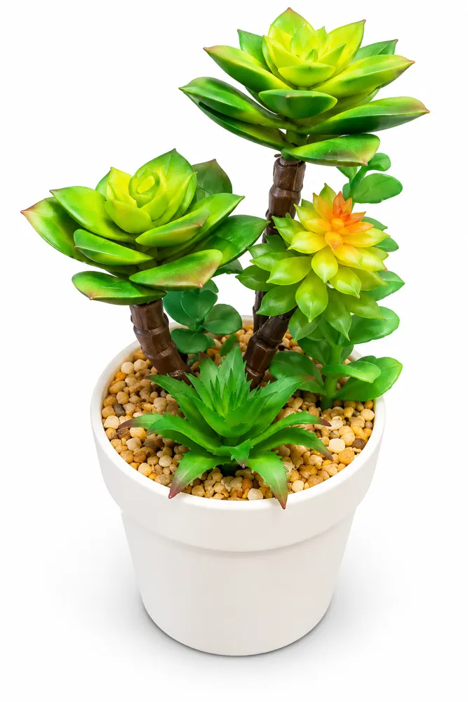 Simulation of Bonsai C14H-54 — Artificial Plants by Kasha Interior